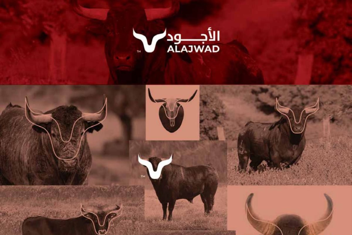 alajwad-presentation-for-web-01_page-0001